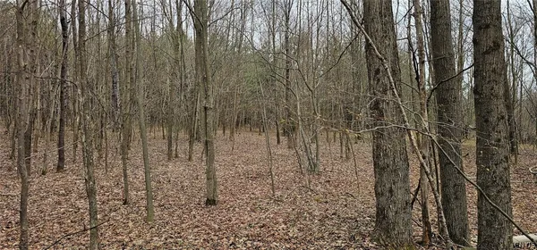 $84,900 | Level Green Road, Berkshire, NY 13736