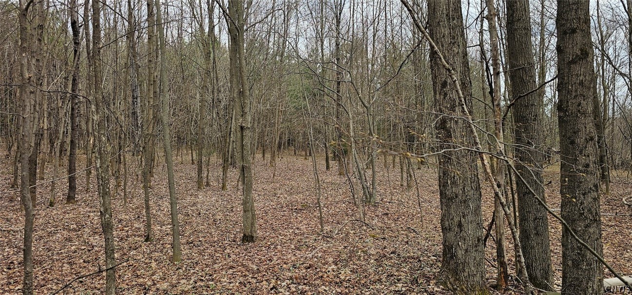 Level Green Road Berkshire, NY 13736 - Photo 13 of 35