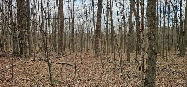 $84,900 | Level Green Road, Berkshire, NY 13736