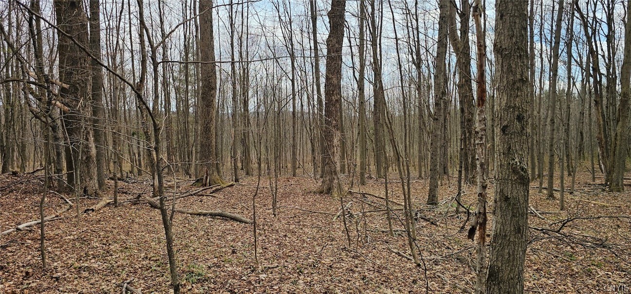 Level Green Road Berkshire, NY 13736 - Photo 14 of 35