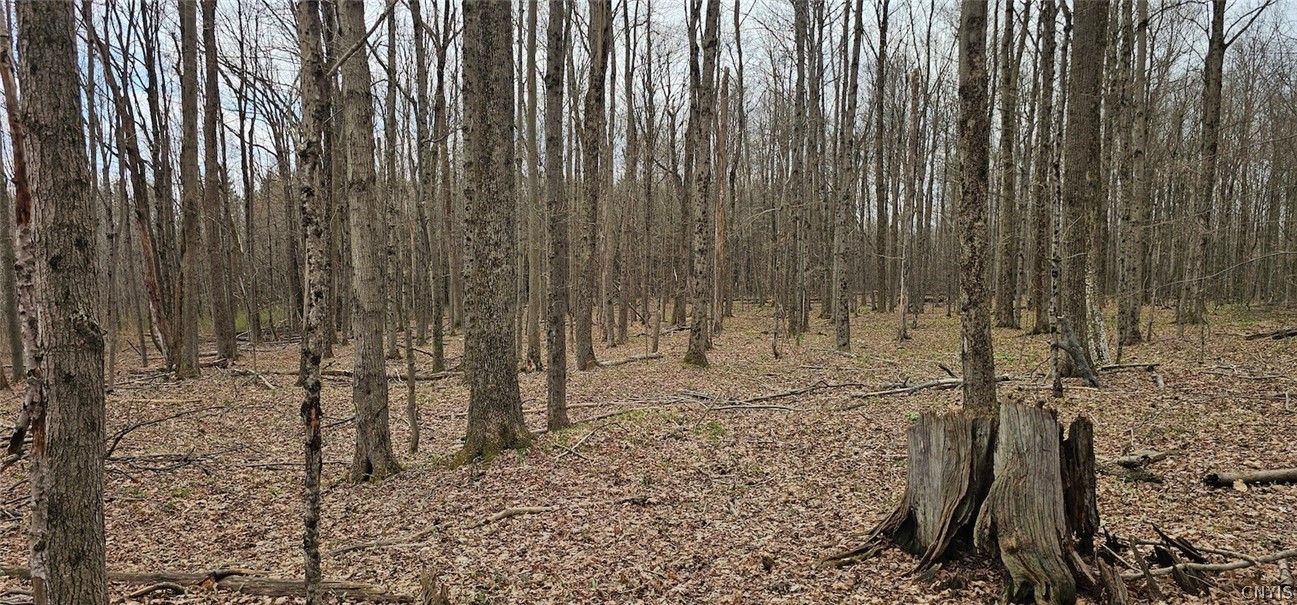 Level Green Road Berkshire, NY 13736 - Photo 15 of 35