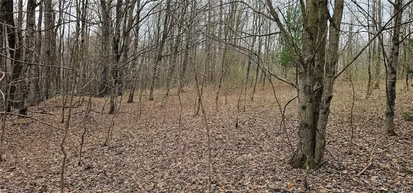 $84,900 | Level Green Road, Berkshire, NY 13736