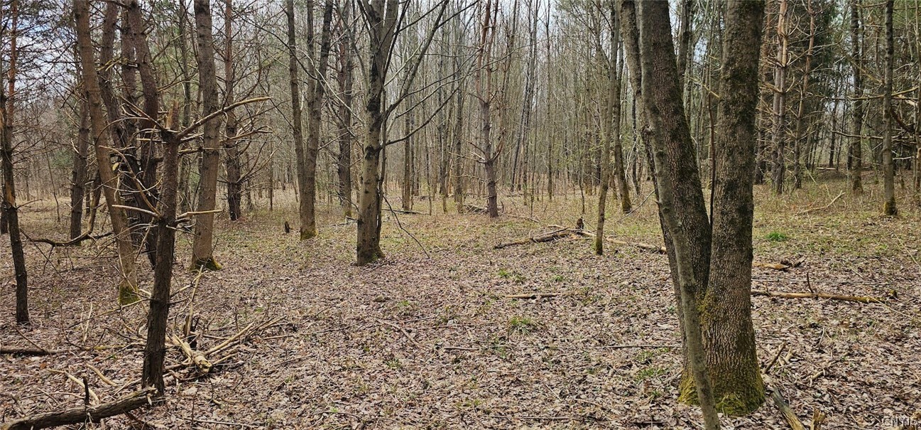 Level Green Road Berkshire, NY 13736 - Photo 17 of 35