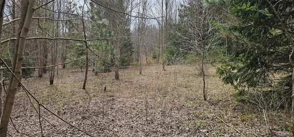 $84,900 | Level Green Road, Berkshire, NY 13736