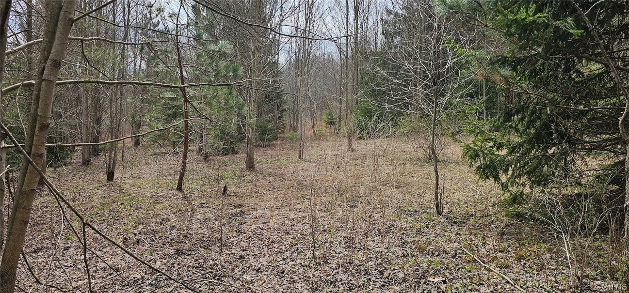 Level Green Road Berkshire, NY 13736 - Photo 19 of 35