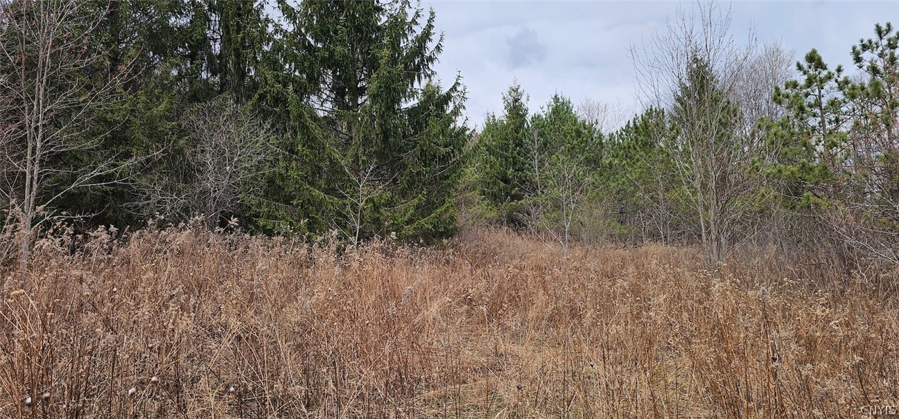 Level Green Road Berkshire, NY 13736 - Photo 20 of 35