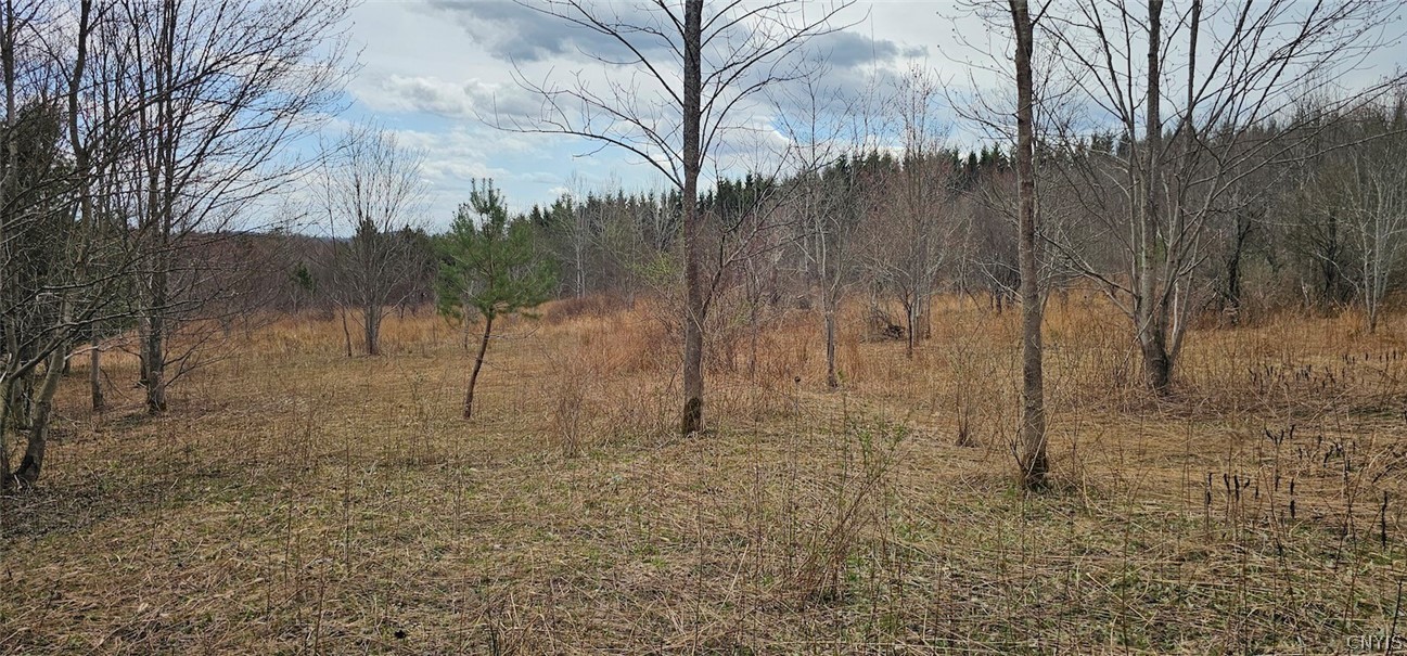 Level Green Road Berkshire, NY 13736 - Photo 2 of 35