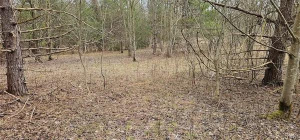 $84,900 | Level Green Road, Berkshire, NY 13736