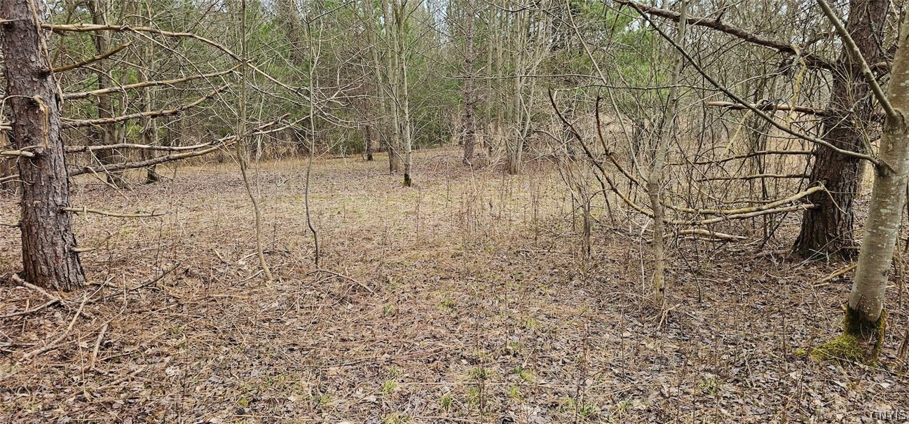 Level Green Road Berkshire, NY 13736 - Photo 21 of 35