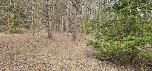 $84,900 | Level Green Road, Berkshire, NY 13736