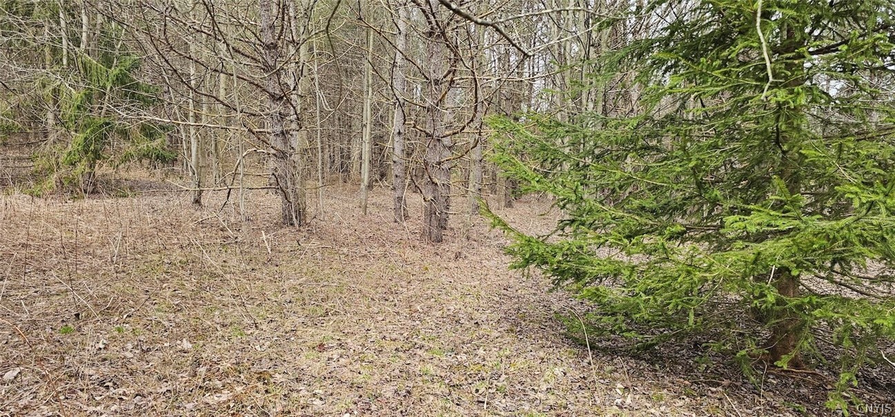 Level Green Road Berkshire, NY 13736 - Photo 22 of 35