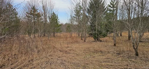 $84,900 | Level Green Road, Berkshire, NY 13736