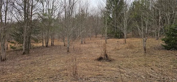 $84,900 | Level Green Road, Berkshire, NY 13736