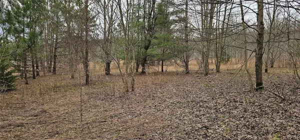 $84,900 | Level Green Road, Berkshire, NY 13736