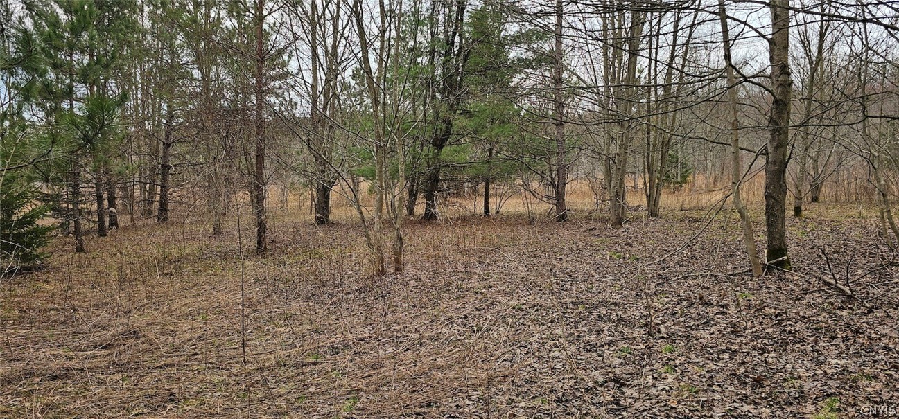 Level Green Road Berkshire, NY 13736 - Photo 25 of 35