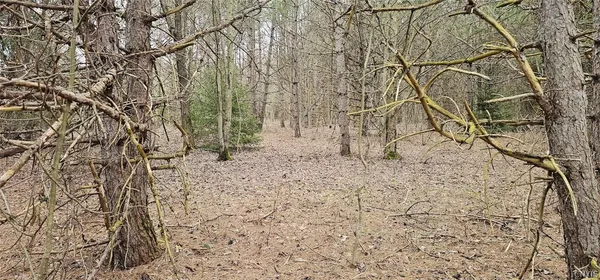 $84,900 | Level Green Road, Berkshire, NY 13736