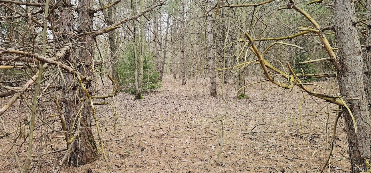 Level Green Road Berkshire, NY 13736 - Photo 26 of 35