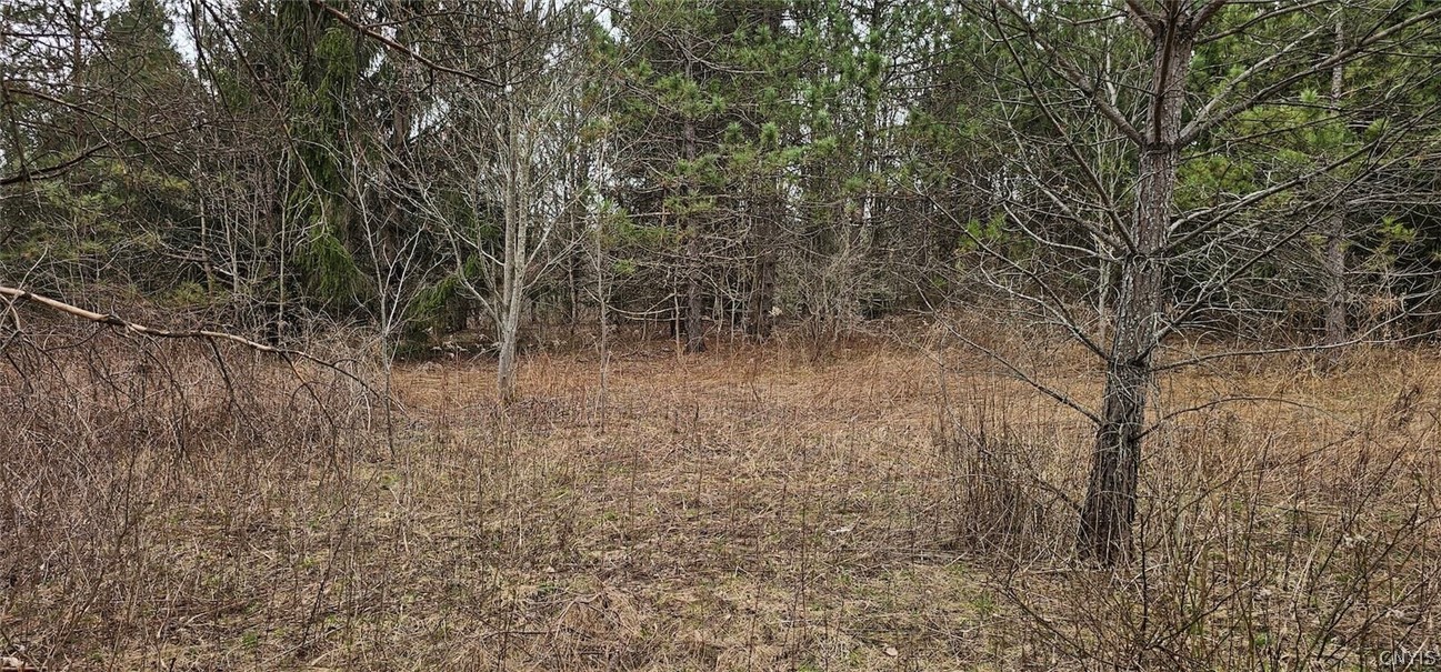 Level Green Road Berkshire, NY 13736 - Photo 27 of 35