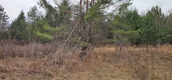 $84,900 | Level Green Road, Berkshire, NY 13736