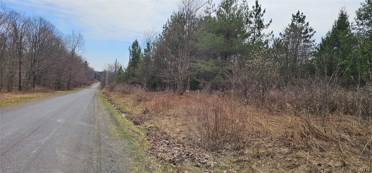 Level Green Road Berkshire, NY 13736 - Photo 29 of 35