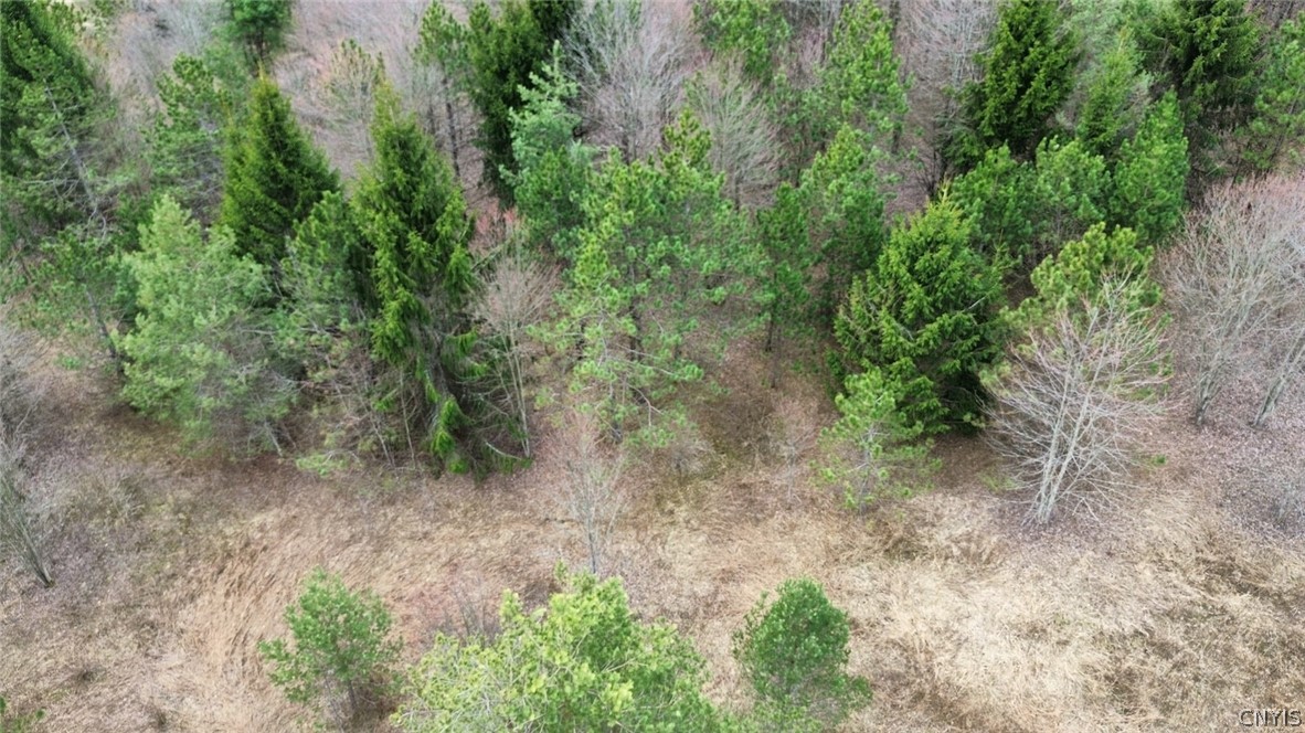 Level Green Road Berkshire, NY 13736 - Photo 30 of 35