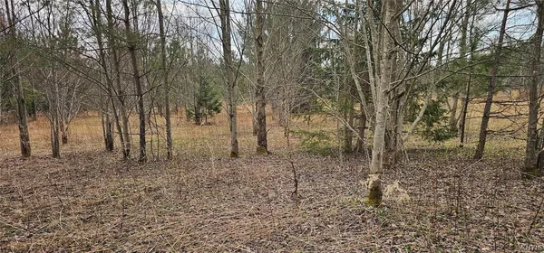 $84,900 | Level Green Road, Berkshire, NY 13736