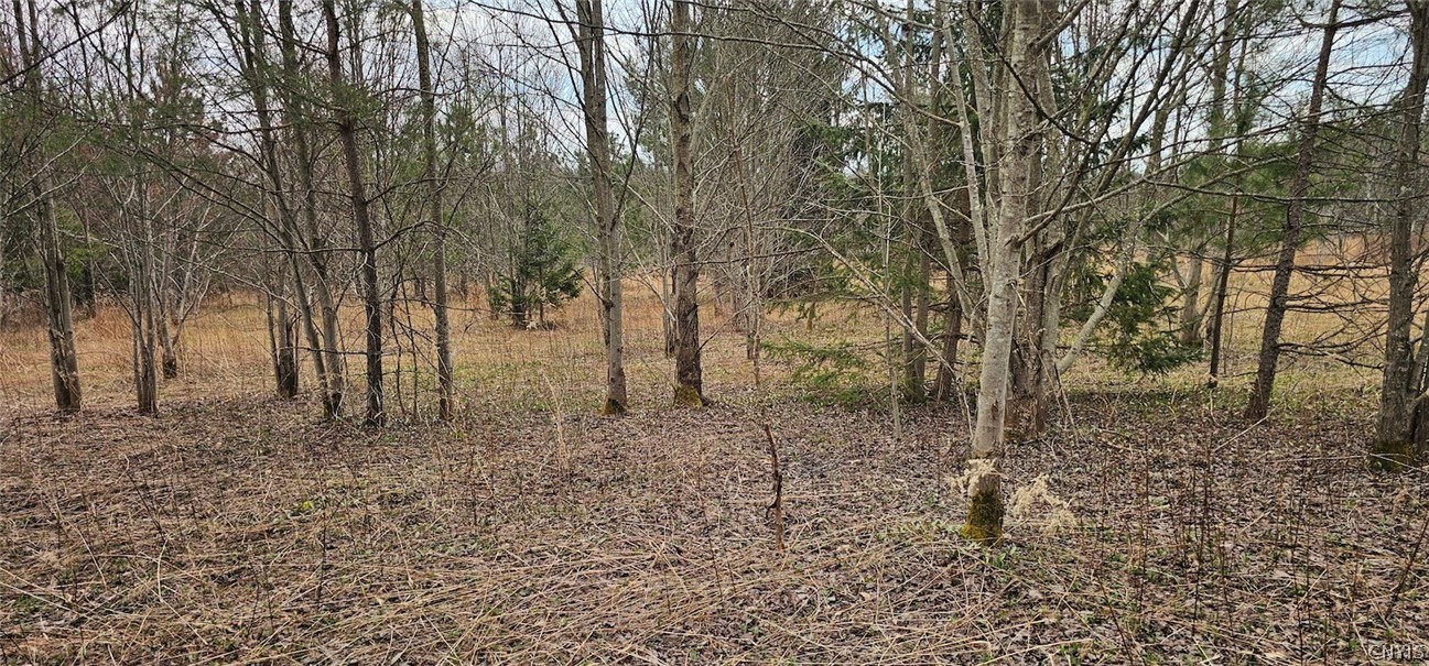 Level Green Road Berkshire, NY 13736 - Photo 3 of 35