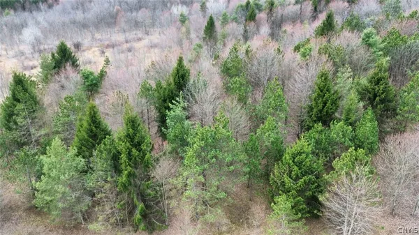 $84,900 | Level Green Road, Berkshire, NY 13736