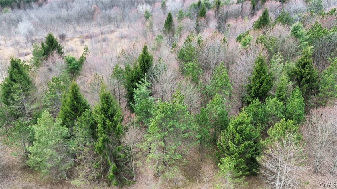 Level Green Road Berkshire, NY 13736 - Photo 31 of 35