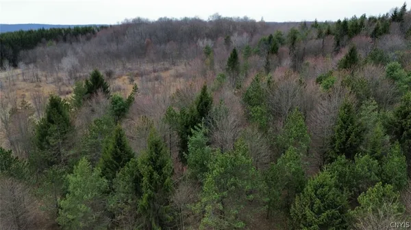 $84,900 | Level Green Road, Berkshire, NY 13736