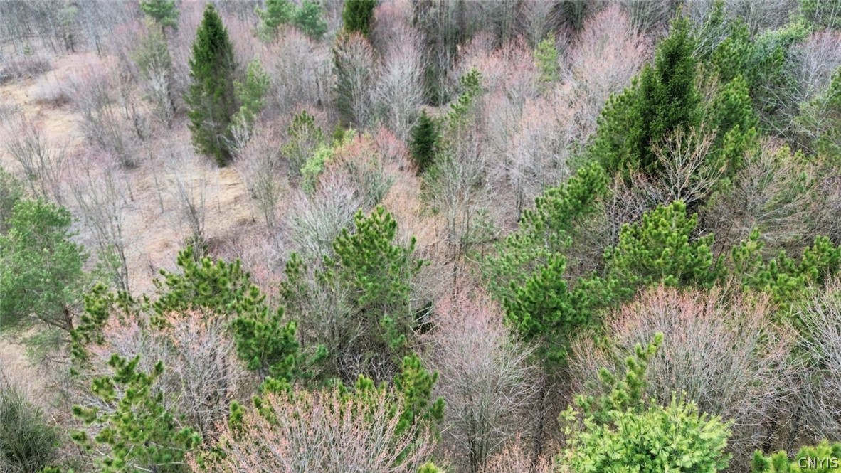 Level Green Road Berkshire, NY 13736 - Photo 33 of 35