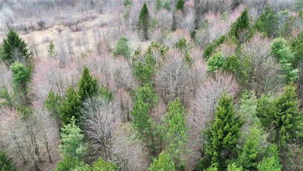 $84,900 | Level Green Road, Berkshire, NY 13736