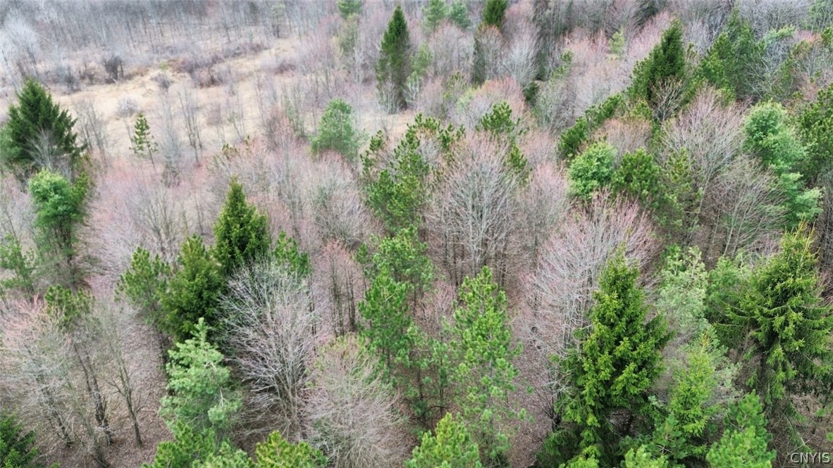 Level Green Road Berkshire, NY 13736 - Photo 34 of 35