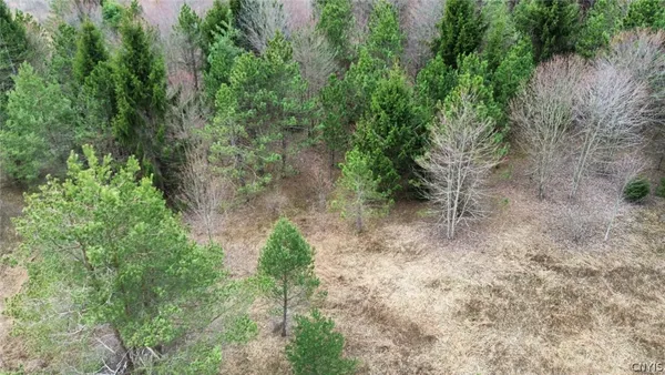 $84,900 | Level Green Road, Berkshire, NY 13736