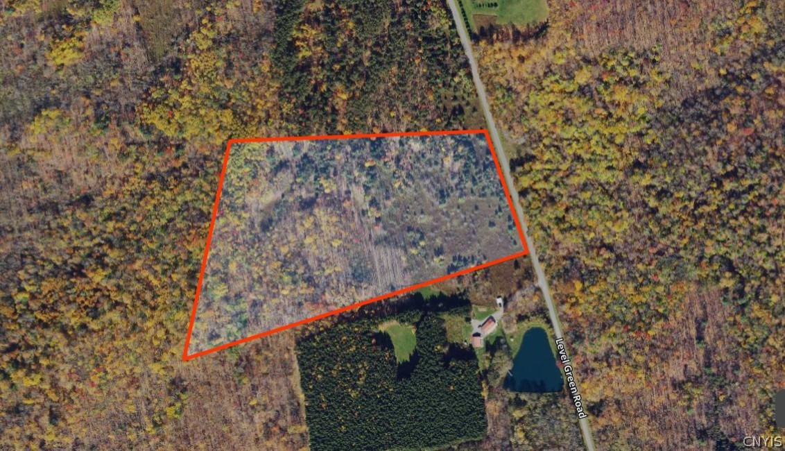 Level Green Road Berkshire, NY 13736 - Photo 6 of 35