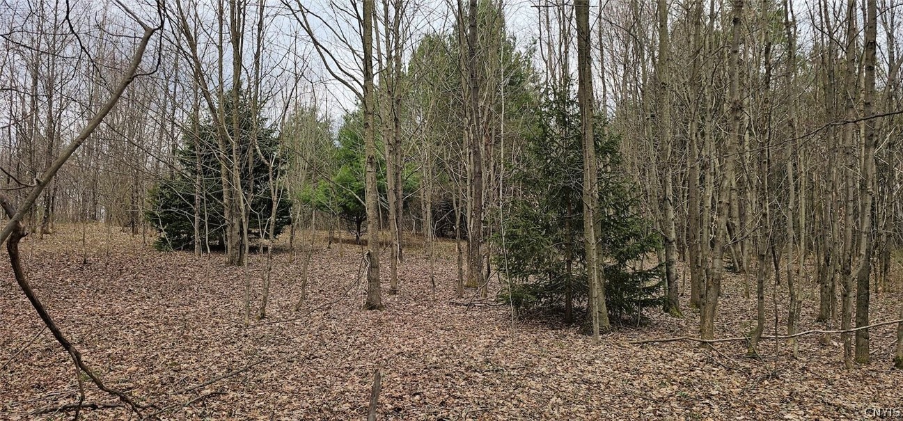 Level Green Road Berkshire, NY 13736 - Photo 7 of 35