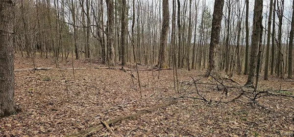 $84,900 | Level Green Road, Berkshire, NY 13736