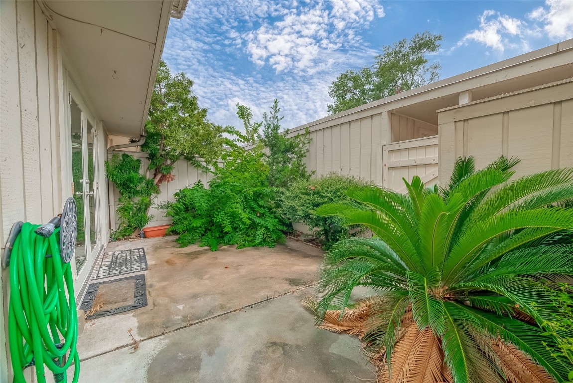 2047 Winrock Boulevard, Unit 61 Houston, TX 77057 - Photo 48 of 50 a plant that is in front of a house