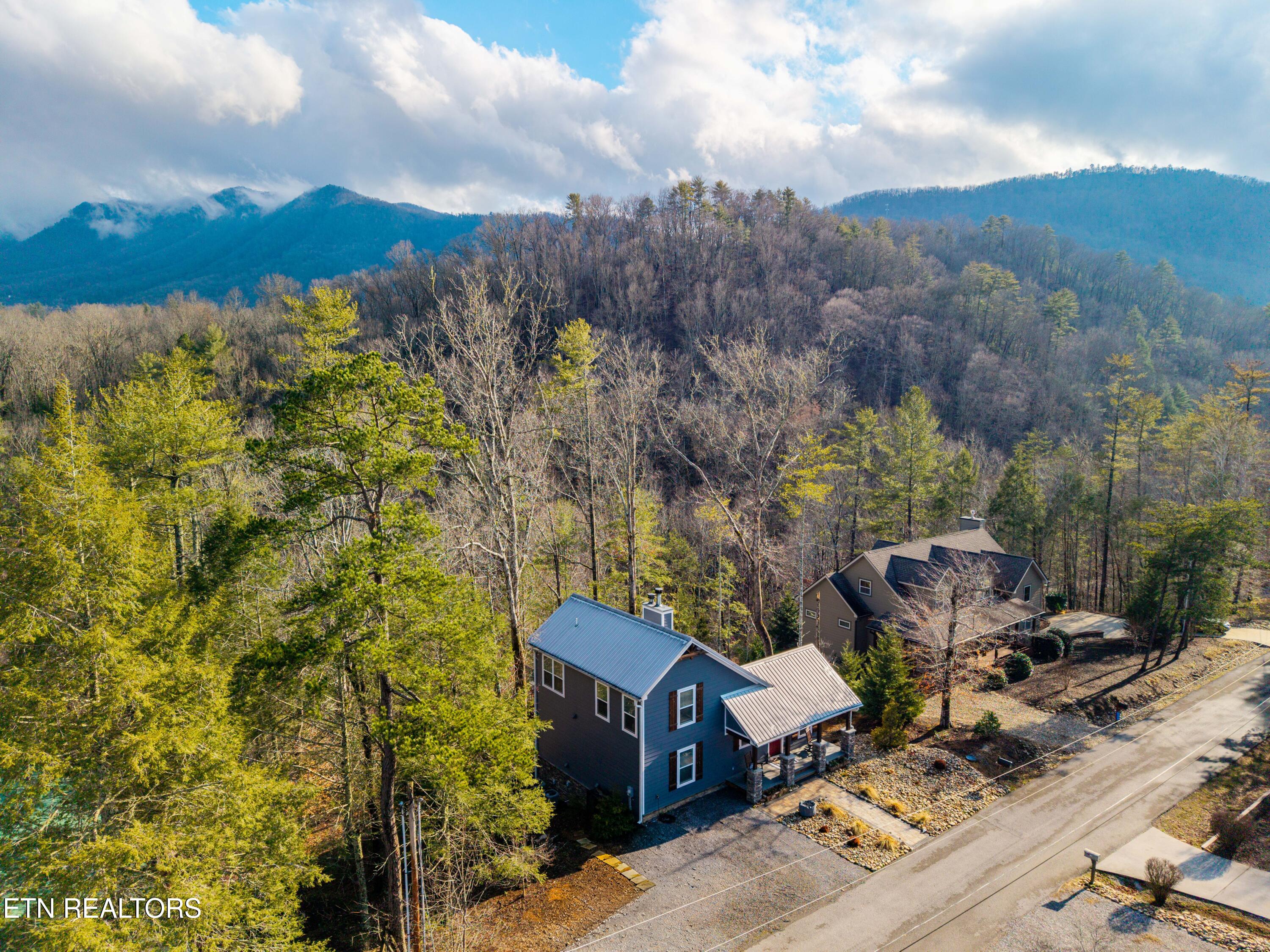 194 Cold Springs Trace Townsend, TN 37882 - Photo 2 of 38 194ColdSpringsTrce-17