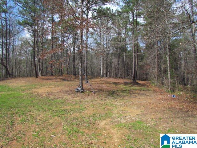 2741 Mt Moriah Road South Pell City, AL 35125 - Photo 19 of 19