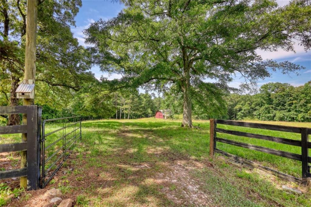 2665 Macedonia Road Franklin, GA 30217 - Photo 9 of 68