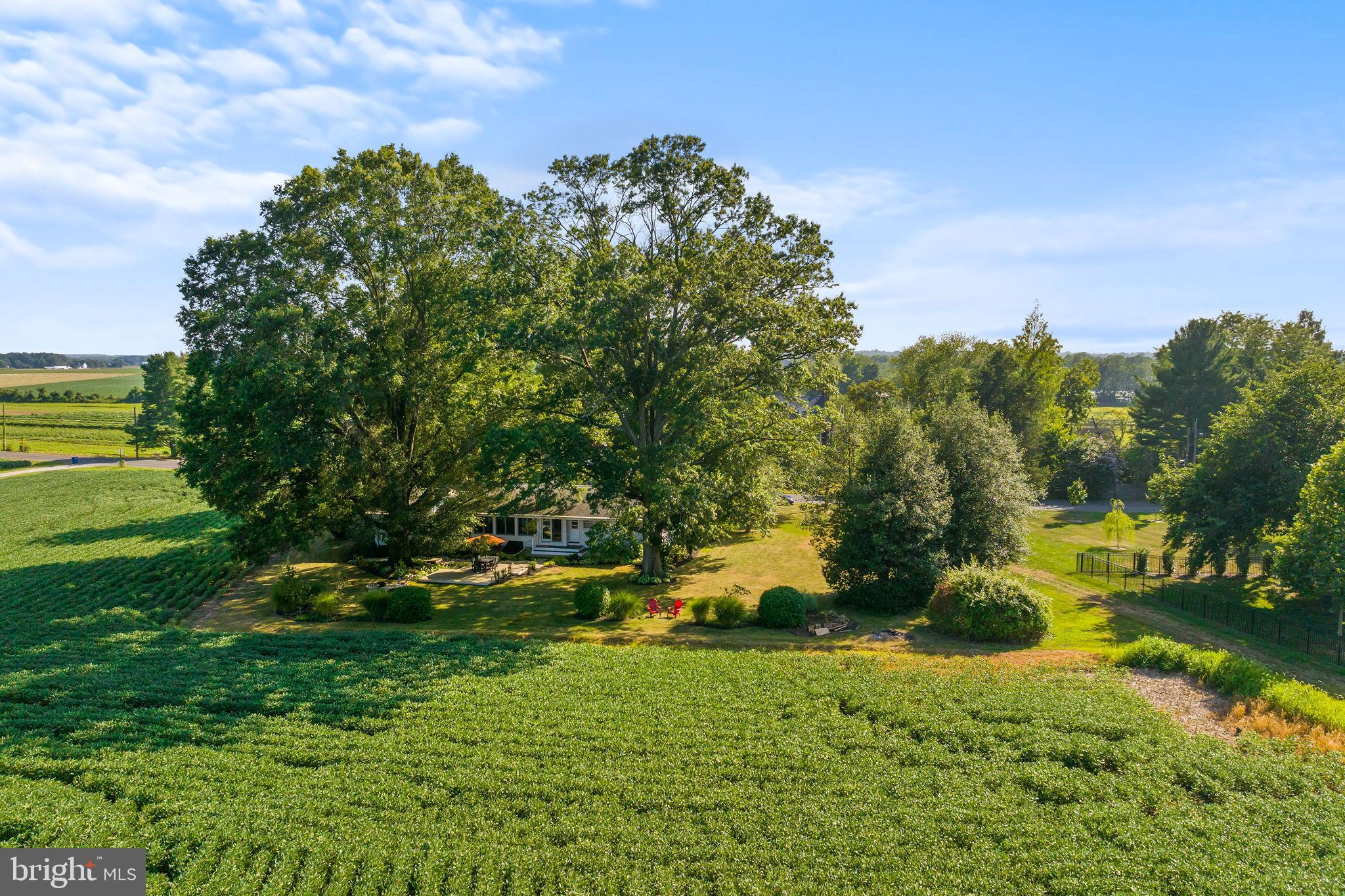 415 Ellisdale Road Chesterfield, NJ 08515 - Photo 34 of 47