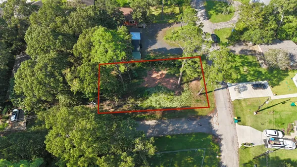 a view of yard with tree