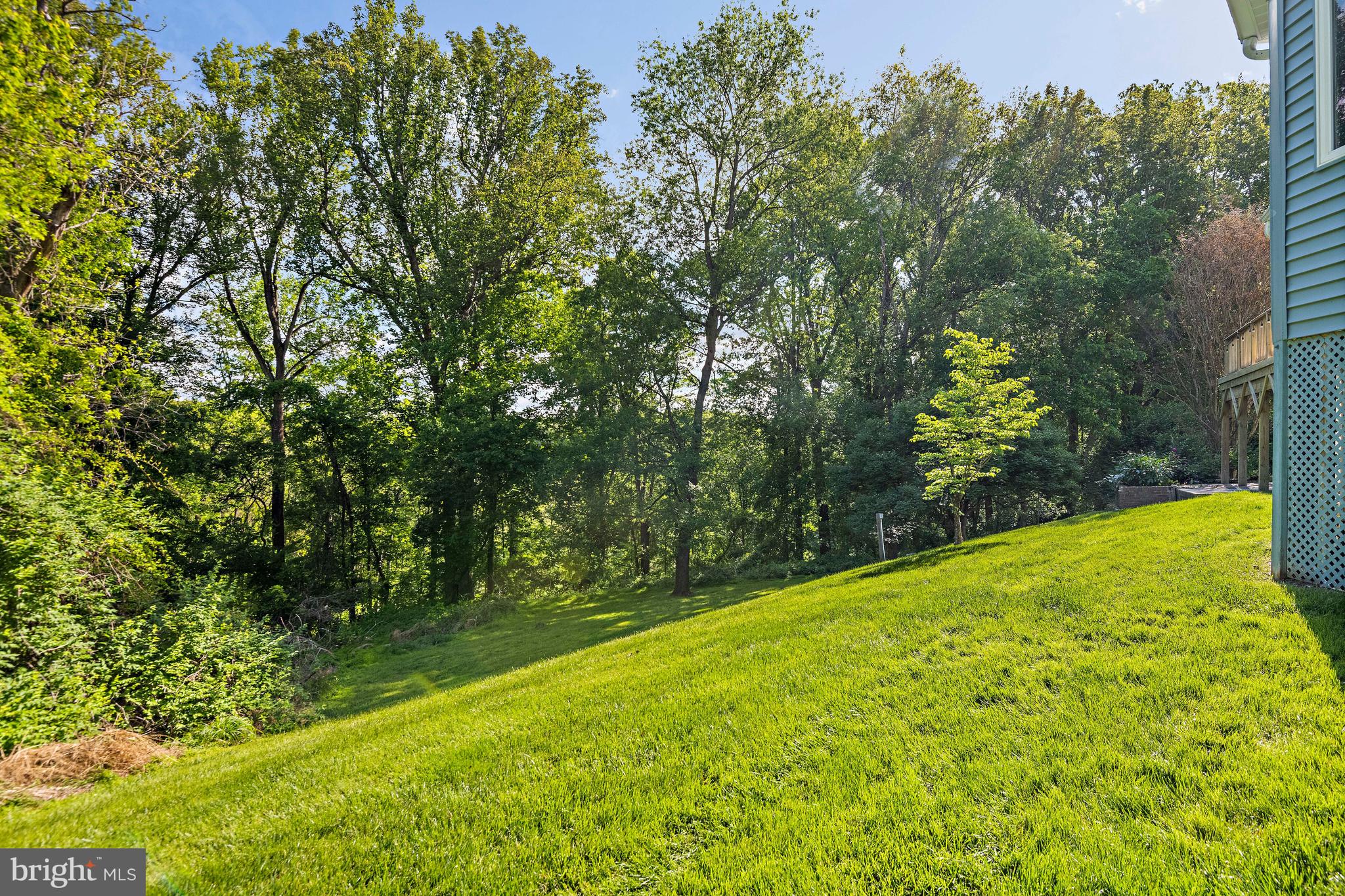 9830 Faust Drive Vienna, VA 22182 - Photo 72 of 75