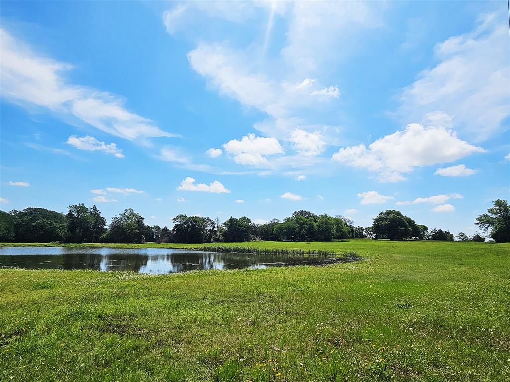 39 S South Groesbeck, TX 76642 - Photo 6 of 17