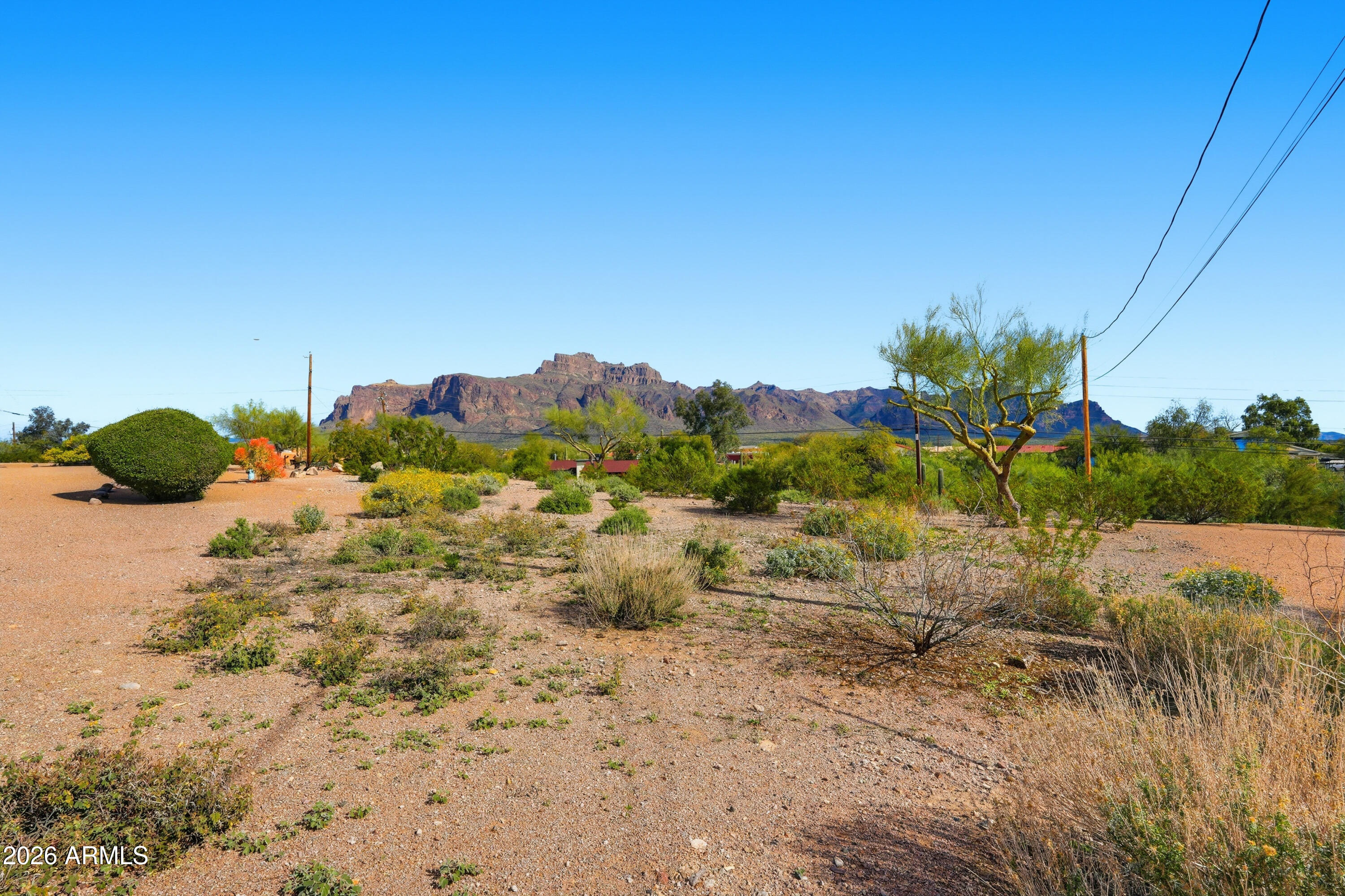 710 South Muleshoe Road Apache Junction, AZ 85119 - Photo 2 of 40 a view of a yard