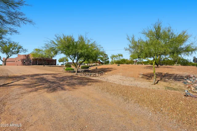 a row of palm trees and a yard with wooden fence