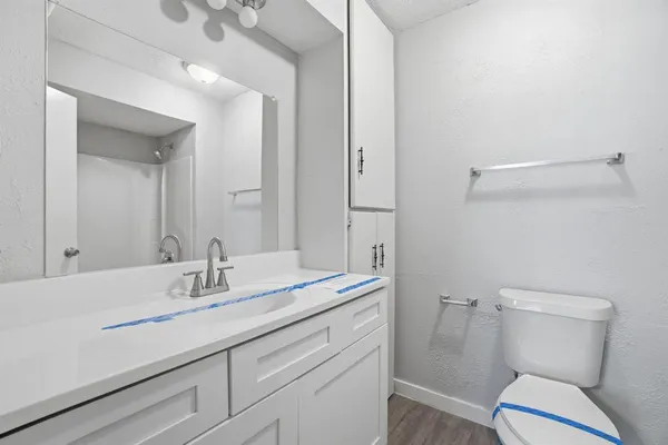 a bathroom with a sink toilet and vanity