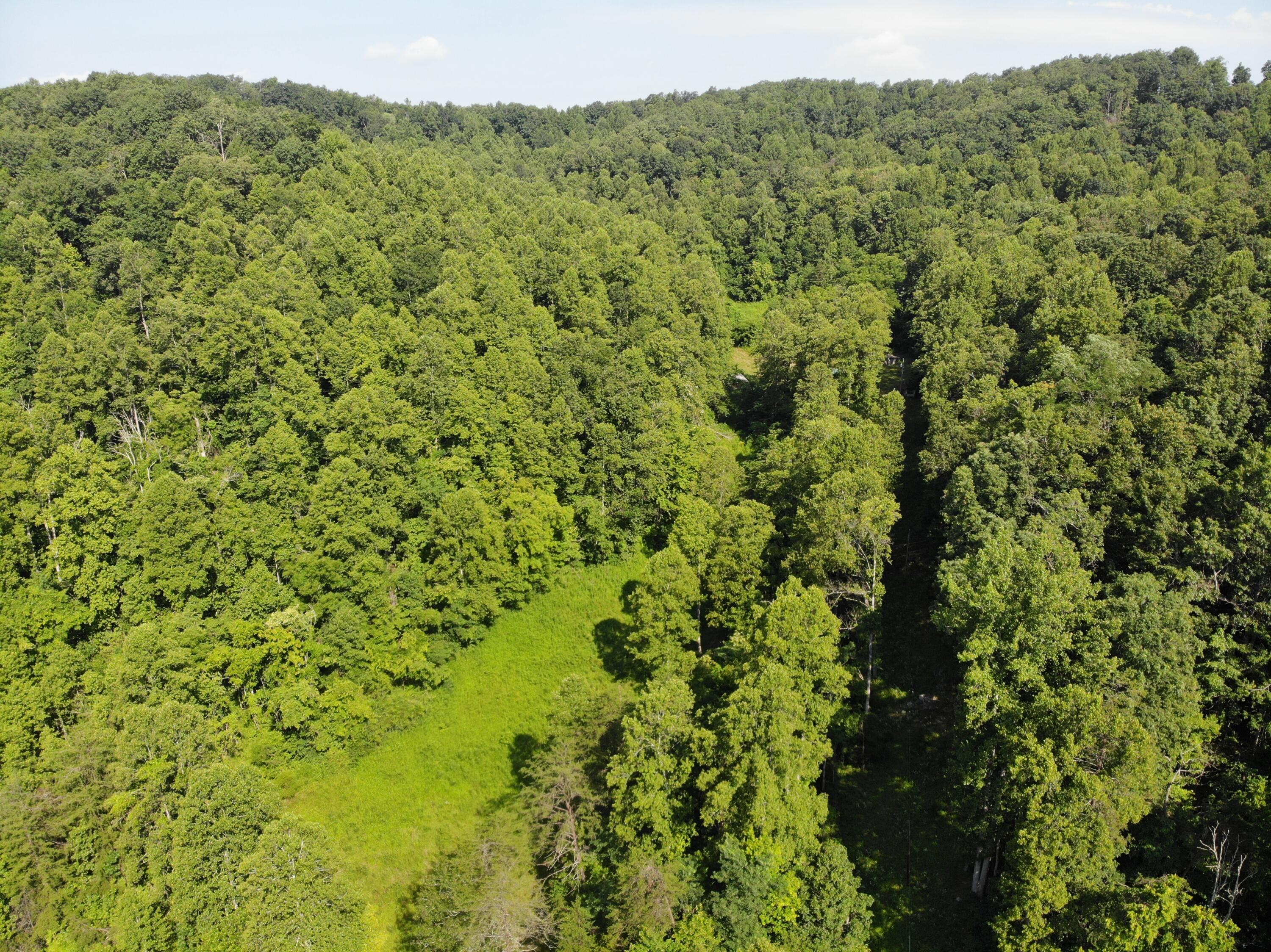 768 Clinton Stiltner Road Frenchburg, KY 40322 - Photo 8 of 19 DJI_0121