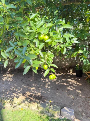 $1,675,000 | 553 A Hygeia Avenue, Encinitas, CA 92024